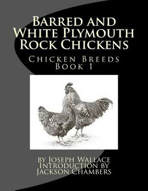 Barred and White Plymouth Rock Chickens by Joseph Wallace