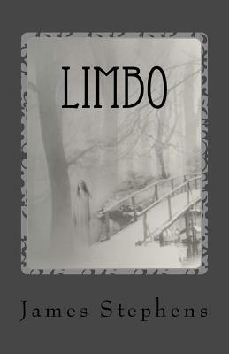 Limbo: book 2 of the Afterlife Chronicles by James Stephens