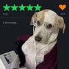andreaabooks's profile picture