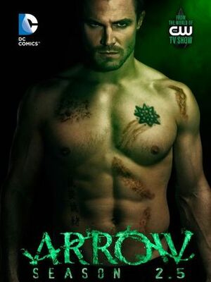 Arrow: Season 2.5 by Keto Shimizu, Marc Guggenheim