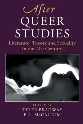 After Queer Studies: Literature, Theory and Sexuality in the 21st Century by 