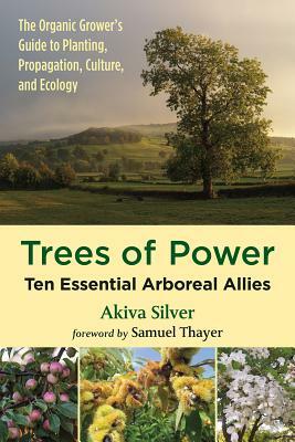 Trees of Power: Ten Essential Arboreal Allies by Akiva Silver