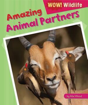 Amazing Animal Partners by Alix Wood