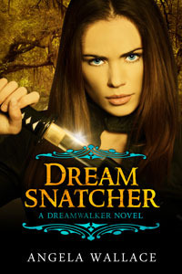 Dreamsnatcher by Angela Wallace