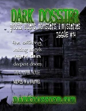 Dark Dossier #14: The Magazine of Ghosts, Aliens, Monsters, & Mysteries! by David B. Harrington, Robert Felton, Walter Esselman