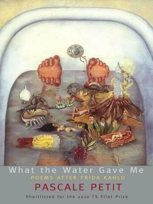What the Water Gave Me: Poems After Frida Kahlo by Pascale Petit