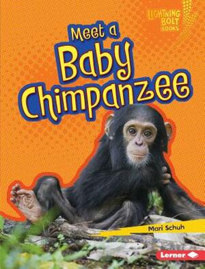 Meet a Baby Chimpanzee by Mari Schuh