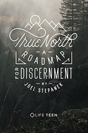 True North: A Roadmap for Discernment by Joel Stepanek