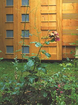 Thinking of the Outside: New Art and the City of Bristol by Phil Collins, Susan Hiller, Silke Otto-Knapp, Nathan Coley, João Penalva, Kathleen Herbert