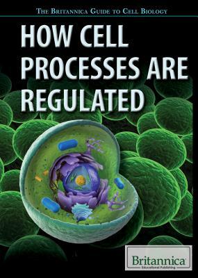 How Cell Processes Are Regulated by Lois Sakany, Clementine Tucker