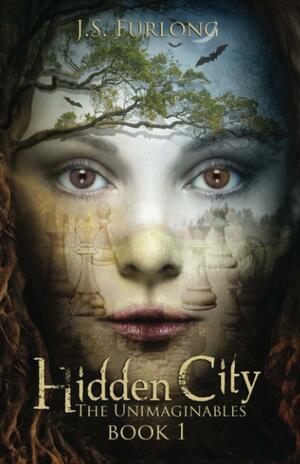 Hidden City by J.S. Furlong