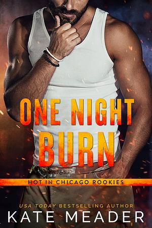 One Night Burn by Kate Meader