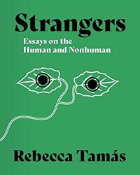 Strangers: Essays on the Human and Nonhuman by Rebecca Tamás