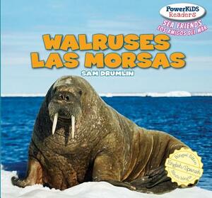 Walruses / Las Morsas by Sam Drumlin