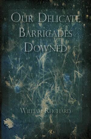 Our Delicate Barricades Downed by William Reichard