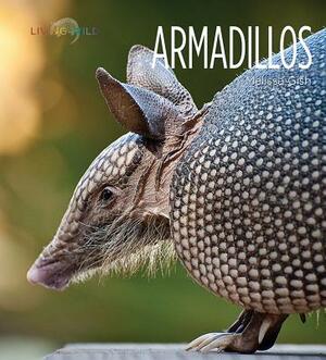 Armadillos by Melissa Gish