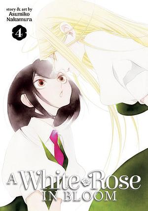 A White Rose in Bloom 4 by Asumiko Nakamura