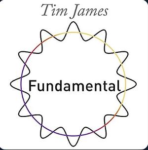 Fundamental: How quantum and particle physics explain absolutely everything (except gravity) by Tim James