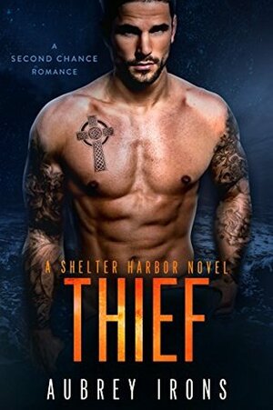 Thief by Aubrey Irons