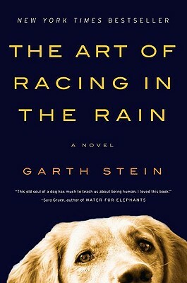 The Art of Racing in the Rain by Garth Stein