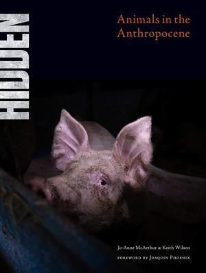 Hidden: Animals in the Anthropocene by Jo-Anne McArthur, Keith Wilson