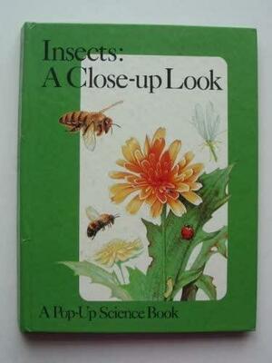 Insects: A Close-up Look by Peter S. Seymour