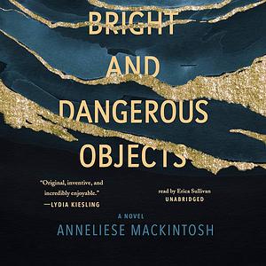 Bright and Dangerous Objects by Anneliese Mackintosh