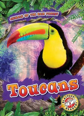 Toucans by Rachel Grack