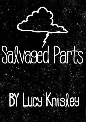 Salvaged Parts by Lucy Knisley