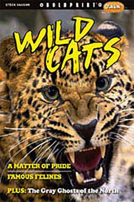 Steck-Vaughn Boldprint Talk: Individual Student Edition Wild Cats 2012 by 