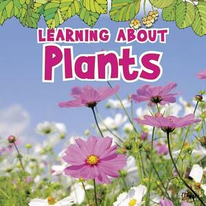 Learning about Plants by Catherine Veitch