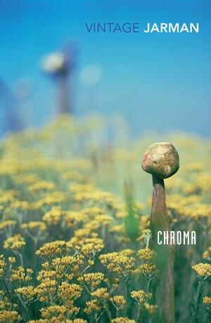 Chroma: A Book of Colour - June '93 by Derek Jarman