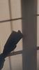pagesofmissie's profile picture