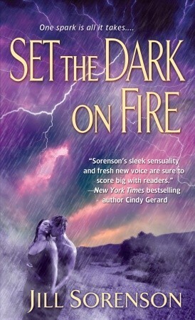 Set the Dark on Fire by Jill Sorenson