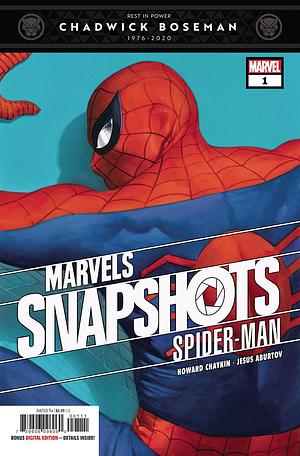 Marvels Snapshots: Spider-Man by Howard Chaykin