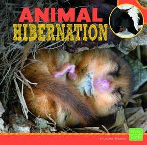 Animal Hibernation by Jeanie Mebane