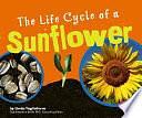 The Life Cycle of a Sunflower by Linda Tagliaferro