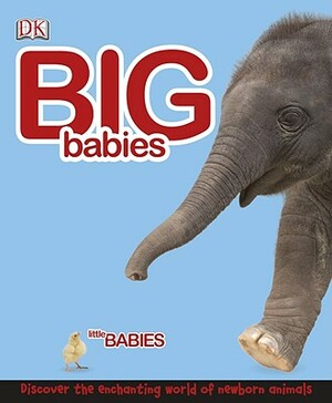 Big Babies, Little Babies by Penny Smith, Lorrie Mack