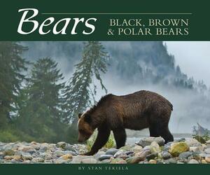 Bears: Black, Brown & Polar Bears by Stan Tekiela