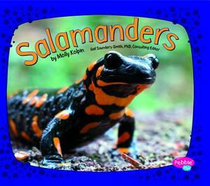 Salamanders by Molly Kolpin