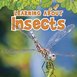 Learning about Insects by Catherine Veitch