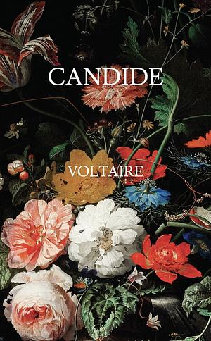 Voltaire's Candide by Voltaire