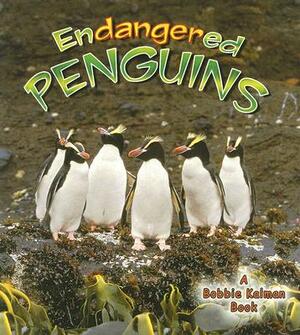 Endangered Penguins by Robin Johnson, Bobbie Kalman