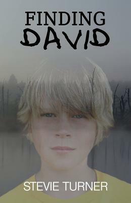 Finding David: A Paranormal Short Story by Stevie Turner