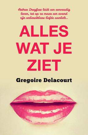 Alles wat je ziet by Marga Blankestijn, Grégoire Delacourt