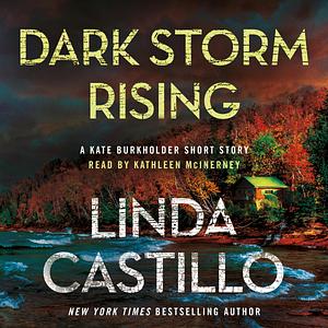 Dark Storm Rising by Linda Castillo