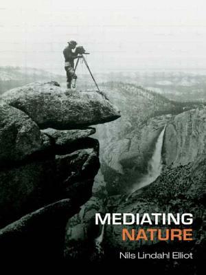 Mediating Nature: Environmentalism and Modern Culture by Nils Lindahl Elliot