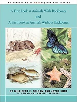 A First Look at Animals With Backbones and A First Look at Animals Without Backbones by Joyce Hunt, Millicent E. Selsam