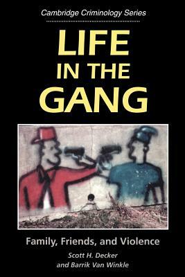 Life in the Gang: Family, Friends, and Violence by Barrik Van Winkle, Scott H. Decker