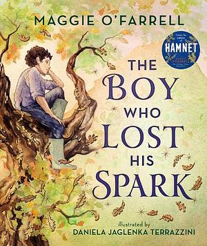 The Boy Who Lost His Spark by Maggie O'Farrell